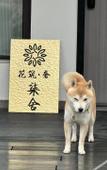 Туры в отель Floral Lux Hotel · Yixing Yushe Hotel