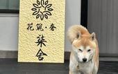 Туры в отель Floral Lux Hotel · Yixing Yushe Hotel