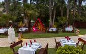 Туры в отель TUI MAGIC LIFE Africana