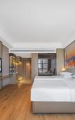 Туры в отель Vienna International Hotel (Linchuan Shangdundu Branch)