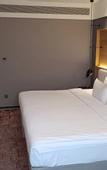 Туры в отель Park Inn by Radisson Tianjin Jinghai Wanda Plaza