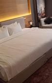 Туры в отель Park Inn by Radisson Tianjin Jinghai Wanda Plaza