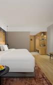 Туры в отель Park Inn by Radisson Tianjin Jinghai Wanda Plaza