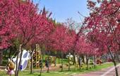 Туры в отель Vienna Hotel Wuhan Huabohui Store