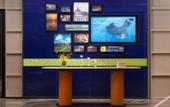 Туры в отель Hampton by Hilton Qingyuan Renmin Road