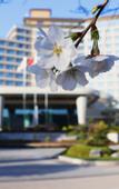 Туры в отель JIN YUN JIN JIANG INTERNATIONAL HOTEL