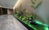 Туры в отель Homeinn Plus Hotel (Pei County Zhongjin Plaza)