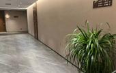 Туры в отель Homeinn Plus Hotel (Pei County Zhongjin Plaza)