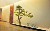 Туры в отель Homeinn Plus Hotel (Pei County Zhongjin Plaza)