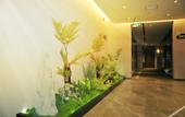 Туры в отель Homeinn Plus Hotel (Pei County Zhongjin Plaza)