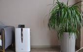 Туры в отель Homeinn Plus Hotel (Pei County Zhongjin Plaza)