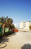Туры в отель Homeinn Selected Hotel (Xuzhou Fantawild Adventure)