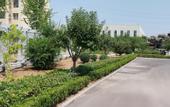 Туры в отель INZONE GARLAND SELECTION (Zhangqiu Longshan Longquan Road)
