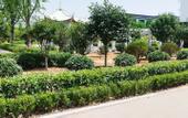 Туры в отель INZONE GARLAND SELECTION (Zhangqiu Longshan Longquan Road)