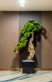 Туры в отель Urban Garden Hotel (Chengdu Happy Valley Jinniu Park Subway Station)