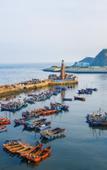 Туры в отель Yitel Collection Hotel (Dalian Jinzhou District Hongwei Lanshan Light Rail Station)