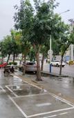 Туры в отель Junyi Hotel (Hengshui Taocheng Shengli West Road)