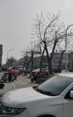 Туры в отель Junyi Hotel (Hengshui Taocheng Shengli West Road)