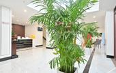 Туры в отель Home Inn Pebble Hotel (Shenyang Changke West Station Western Auto Parts City)