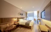Туры в отель Homeinn Plus Hotel (Ziyang High-speed Railway North Station District Government)
