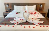 Туры в отель Homeinn Plus Hotel (Jining North Bus Station Vocational College)