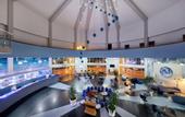 Туры в отель Aquaworld Belek by MP Hotels
