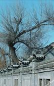 Туры в отель Homeinn Selected Hotel (Jinzhong University Town Wusu International Airport)