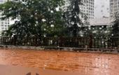 Туры в отель Jianguo Puyin Hotel (Qingdao Wusi Square Qingdao University Branch)