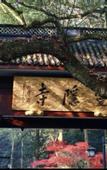 Туры в отель Homeinn Ripple Yun Hotel (Zhejiang University of Science and Technology)