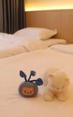 Туры в отель Homeinn Ripple Yun Hotel (Harbin Central Avenue)