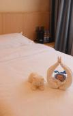 Туры в отель Homeinn Ripple Yun Hotel (Harbin Central Avenue)
