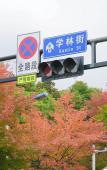 Туры в отель Homeinn Plus Hotel (Hangzhou Xiasha University City Gaosha Road Subway Station)