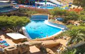 Туры в отель Magic Aqua Rock Gardens