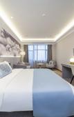 Туры в отель Nanjing Lishui Railway Station LANOU INTERNATIONAL Hotel