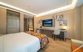 Туры в отель Lanou international hotel