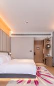 Туры в отель Feronia Hotel (Chengdu Polar Ocean Park Tianfu Heyue Plaza)