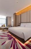 Туры в отель Feronia Hotel (Chengdu Polar Ocean Park Tianfu Heyue Plaza)