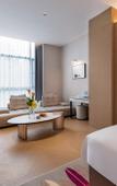 Туры в отель Feronia Hotel (Chengdu Polar Ocean Park Tianfu Heyue Plaza)