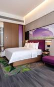Туры в отель Hampton by Hilton  Shenzhen Longhua Qinghu