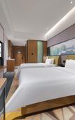 Туры в отель Hampton by Hilton  Shenzhen Longhua Qinghu