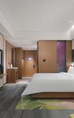 Туры в отель Hampton by Hilton  Shenzhen Longhua Qinghu
