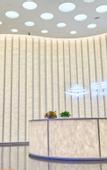 Туры в отель Radisson Collection Lingang Shanghai