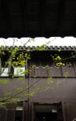 Туры в отель Floral Hotel·Xunshanli Hotel (Nanxun Baijianlou Store)