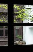 Туры в отель Floral Hotel·Xunshanli Hotel (Nanxun Baijianlou Store)