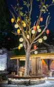 Туры в отель Floral Hotel·Xunshanli Hotel (Nanxun Baijianlou Store)