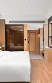 Туры в отель Vienna International Hotel (Shenzhen Nanshan Science and Technology Park Kexing Branch)