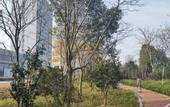 Туры в отель Vienna International Hotel (Yongkang Passenger Transport Center High Speed Rail South Station Store)