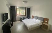 Туры в отель Pebble Motel ( Universal Studios town )
