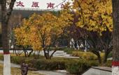 Туры в отель Homeinn · neo (Taiyuan Xiaodian District Tongda Street Subway Station)
