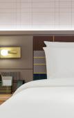Туры в отель Homeinn Plus Hotel ( Pingyao Old Street Liangzhu Site Park)